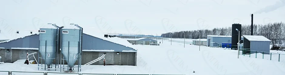 Свиноводческий комплекс г. Липецк